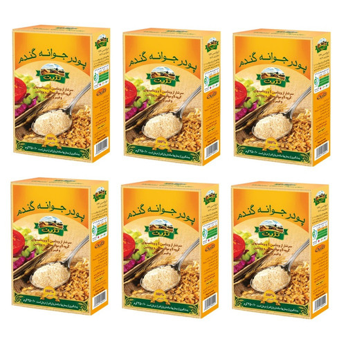 پودر جوانه گندم تژین - 250 گرم مجموعه 600عددی